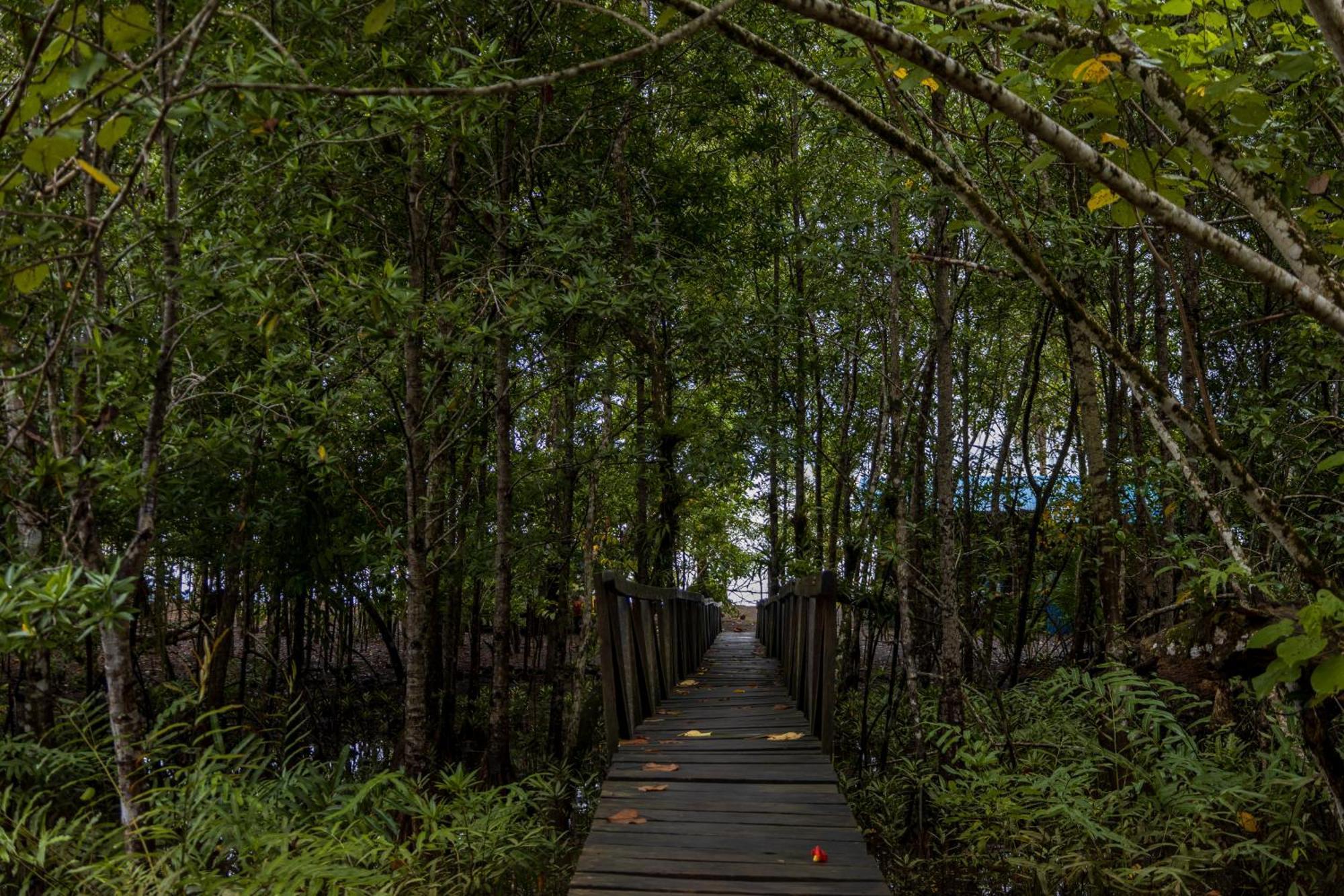 Jardin Botanico Del Pacifico Y Mecana Ecohotel Bahia Solano Exteriör bild