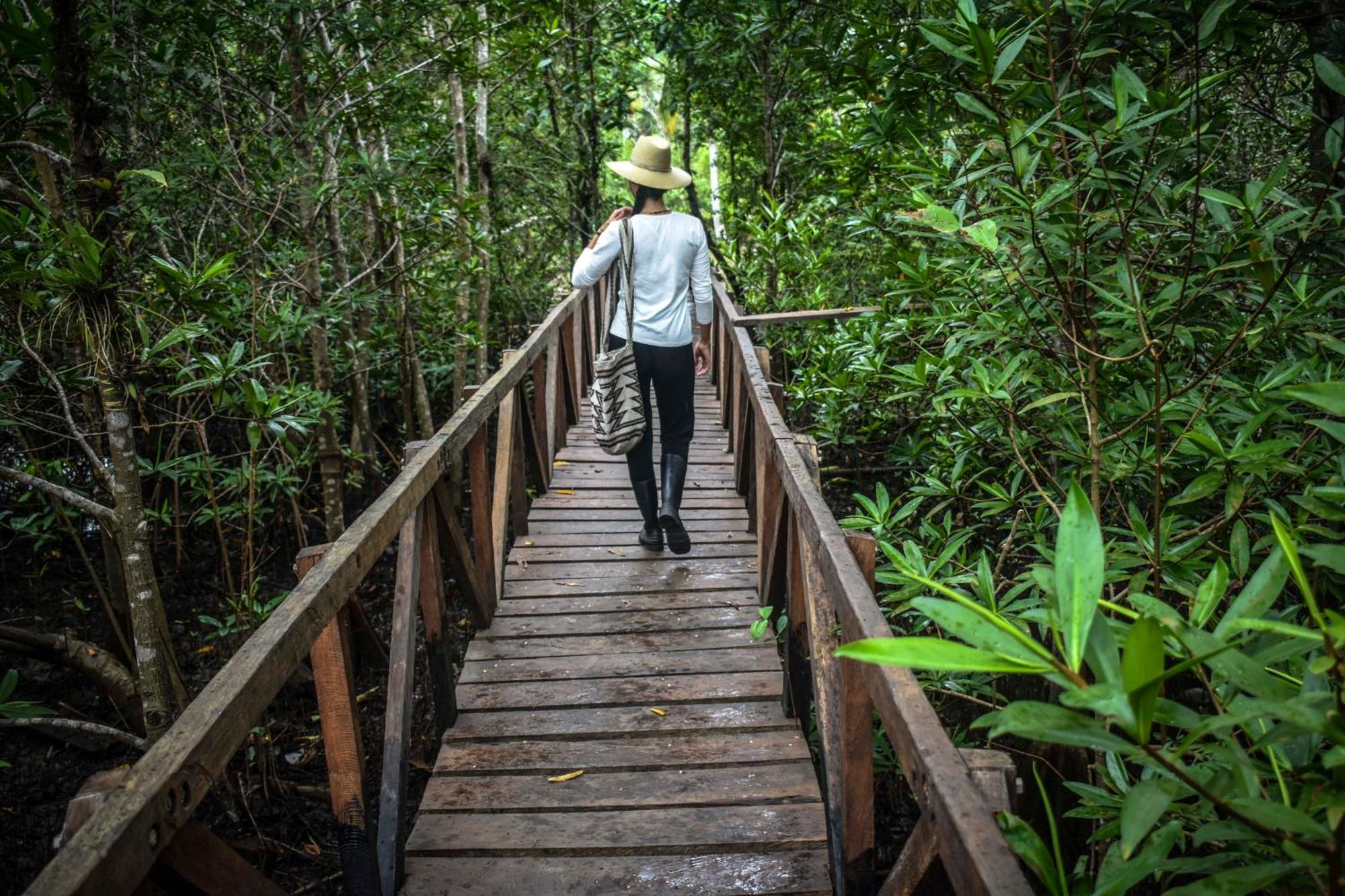 Jardin Botanico Del Pacifico Y Mecana Ecohotel Bahia Solano Exteriör bild