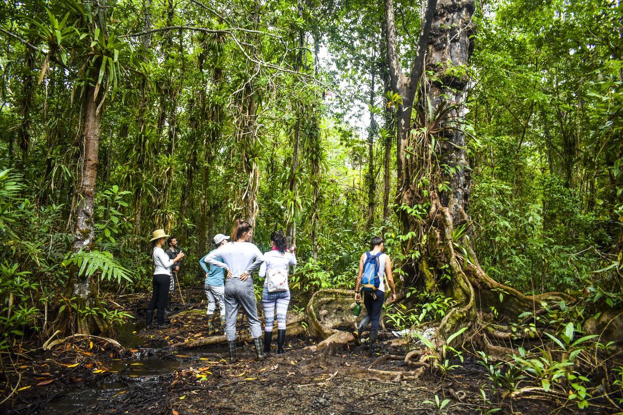 Jardin Botanico Del Pacifico Y Mecana Ecohotel Bahia Solano Exteriör bild